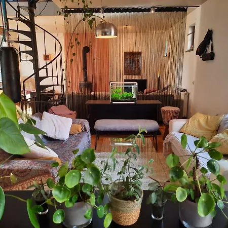 Ruime Woning In Het Voormalig Karmel Klooster Van Egmond *