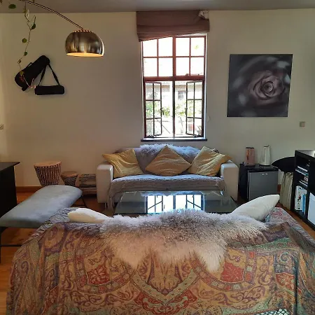 Ruime Woning In Het Voormalig Karmel Klooster Van Egmond Apartment *