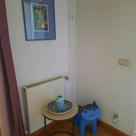 Apartment Ruime Woning In Het Voormalig Karmel Klooster Van Egmond Egmond aan den Hoef